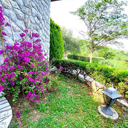 Apartment Mediterranean Garden רייקה מראה חיצוני תמונה