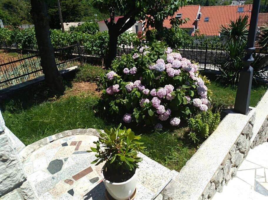 Apartment Mediterranean Garden רייקה מראה חיצוני תמונה