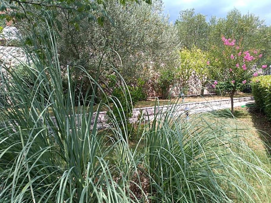 Apartment Mediterranean Garden רייקה מראה חיצוני תמונה