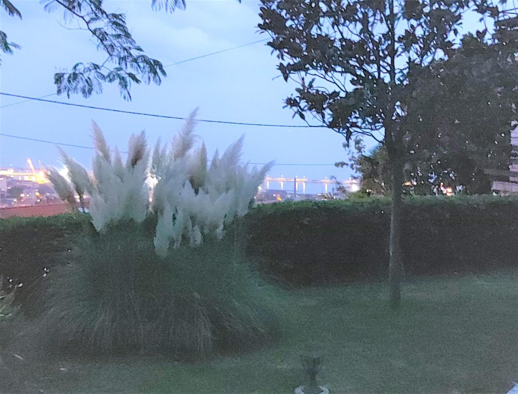 Apartment Mediterranean Garden רייקה מראה חיצוני תמונה