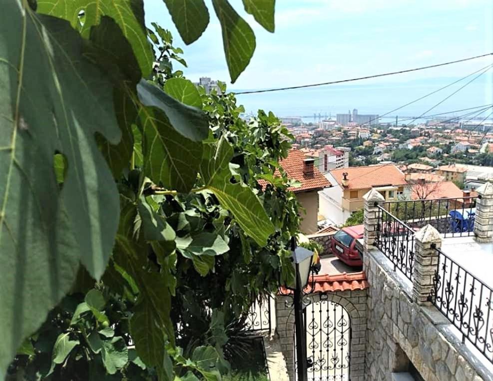 Apartment Mediterranean Garden רייקה מראה חיצוני תמונה