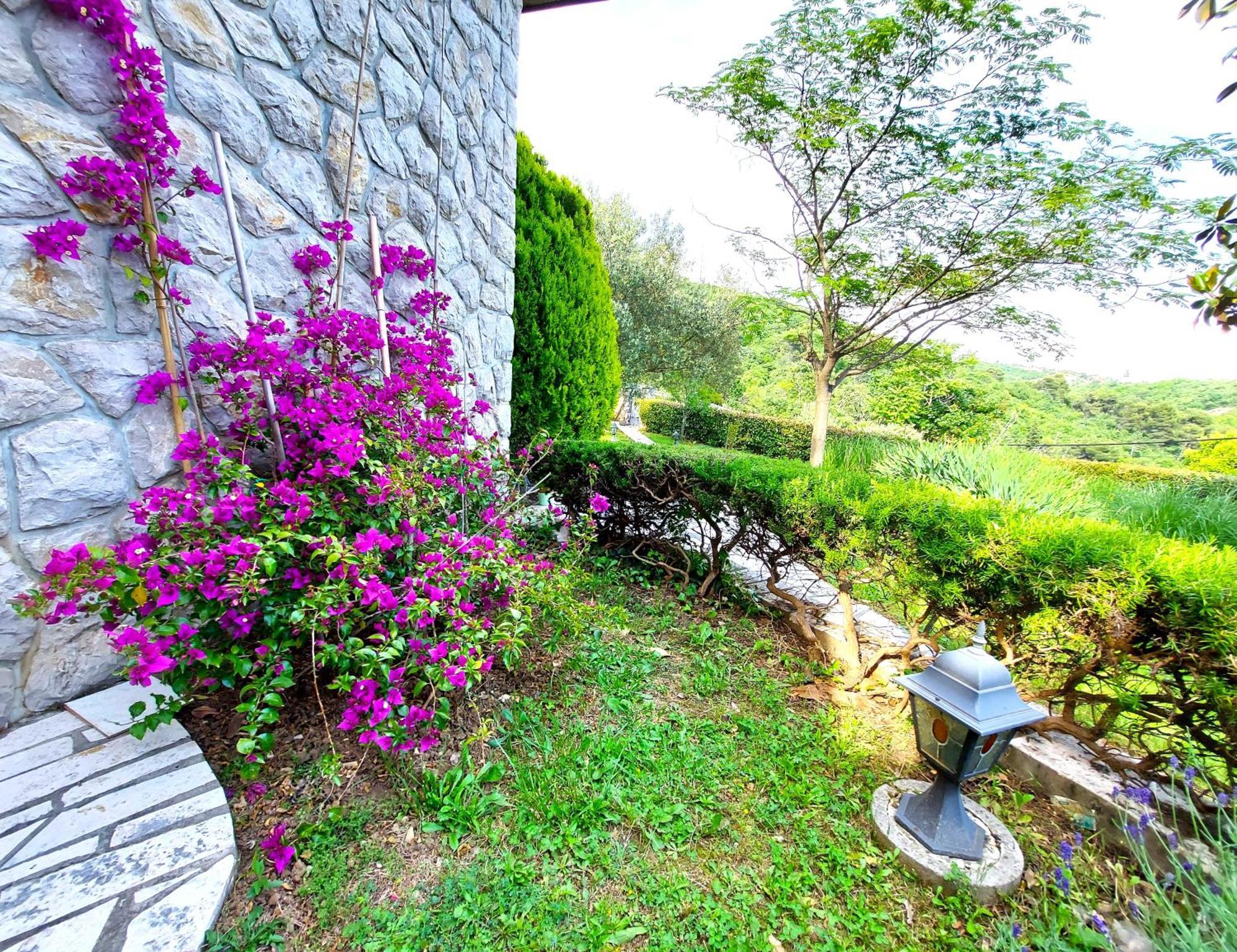 Apartment Mediterranean Garden רייקה מראה חיצוני תמונה